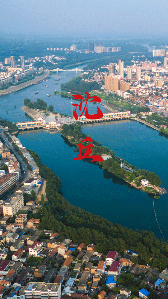 云上沈丘苹果手机版