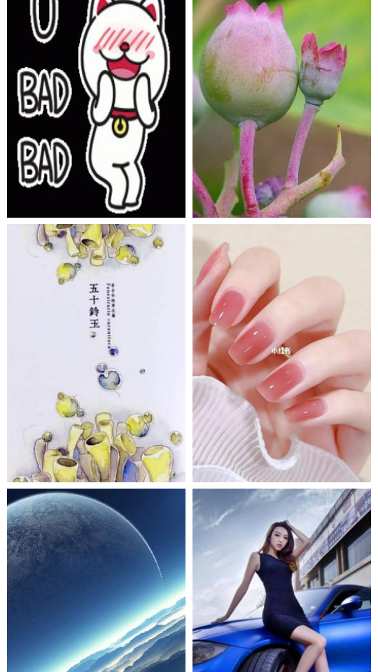 搜图界手机免费版