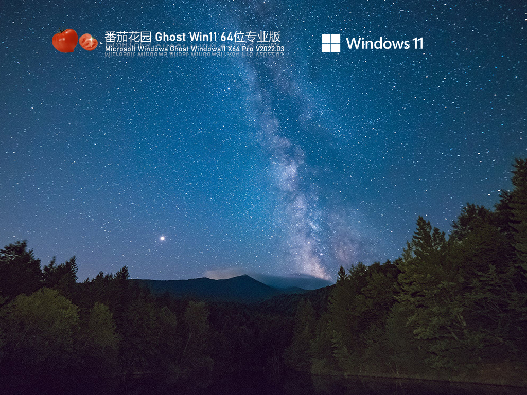 番茄花园Ghost Win11 U盘正式版简体中文版下载_番茄花园Ghost Win11 U盘正式版最新版本