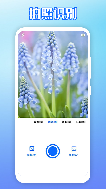 拍图识物下载安装2025