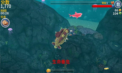 饥饿鲨进化2024年2025版安卓版