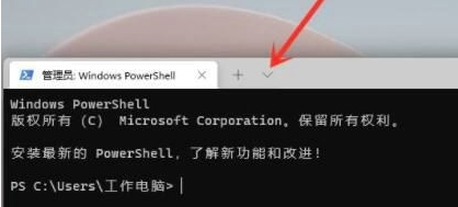 顽石Win11 22H2 x64 极速精简版 V2023