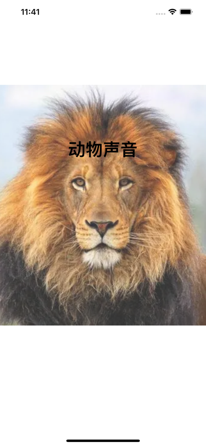 动物声2025下载安装