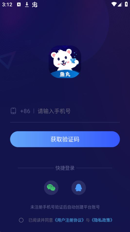 鱼丸电竞手机下载安装