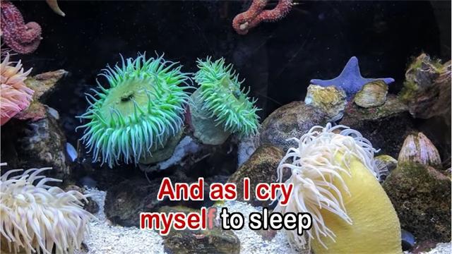 卡拉ok遥控器下载安卓版本