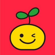 橘兜账本ios版手机版