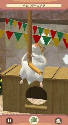 我的仓鼠破解版无限金币版最新版下载