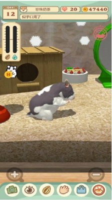 我的仓鼠破解版无限金币版最新版下载