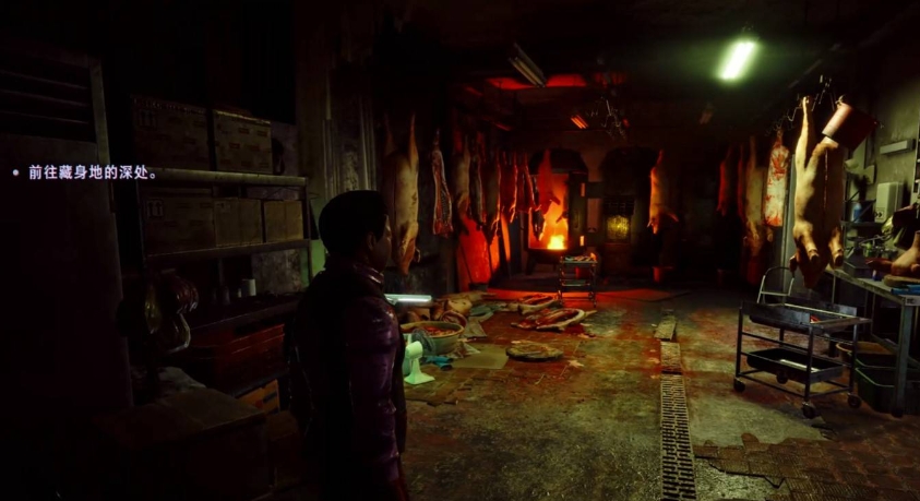 野狗子游戏中有哪些可以收集的物品_野狗子中可收集道具一览