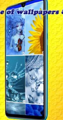 甜美壁纸和背景app下载最新版