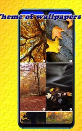 甜美壁纸和背景app下载最新版