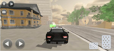 边境警察巡逻模拟器破解版最新版2025最新下载