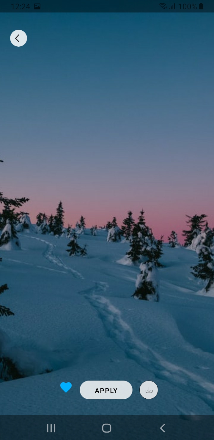 全高清壁纸和背景最新版安卓版