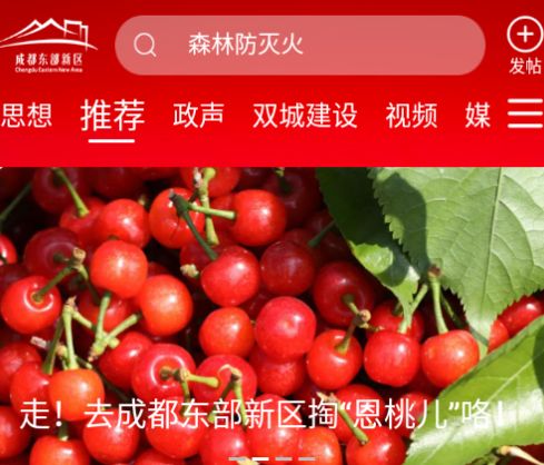 成都东部新区融媒体APP官方版