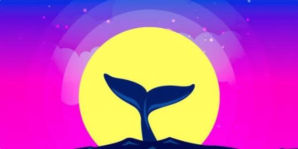 比特币最新消息美联储 2025年BTC价格上涨的理由