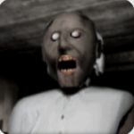 恐怖老奶奶安卓下载