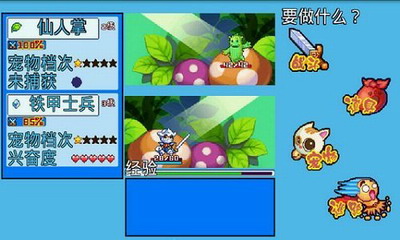 宠物王国5彩虹内购破解版最新版最新安卓版本2025