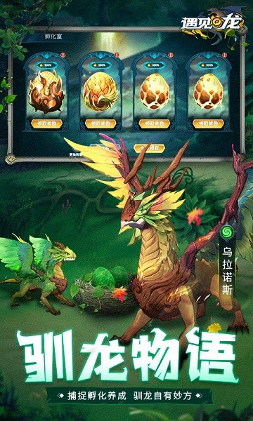 遇见龙游戏2024最新版本安卓版