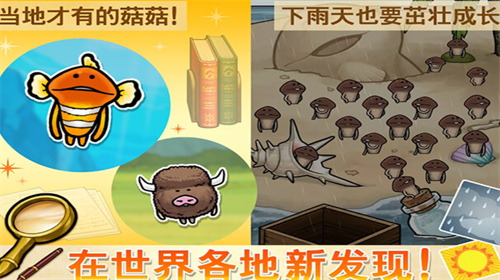 菇菇栽培研究室免费最新下载