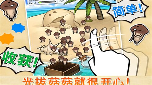 菇菇栽培研究室免费最新下载