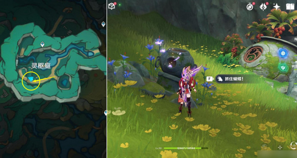 原神彩蝶翩然过谷中任务攻略 彩蝶翩然过谷中五个蝴蝶位置在哪里[多图]图片8