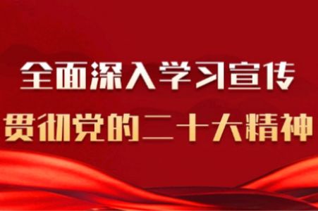 精河好地方app安卓版