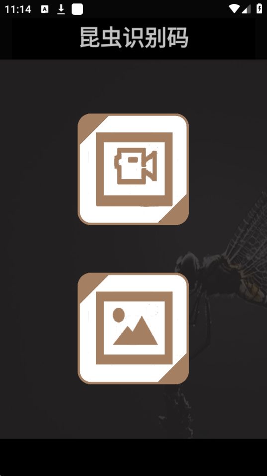 昆虫识别码下载手机版