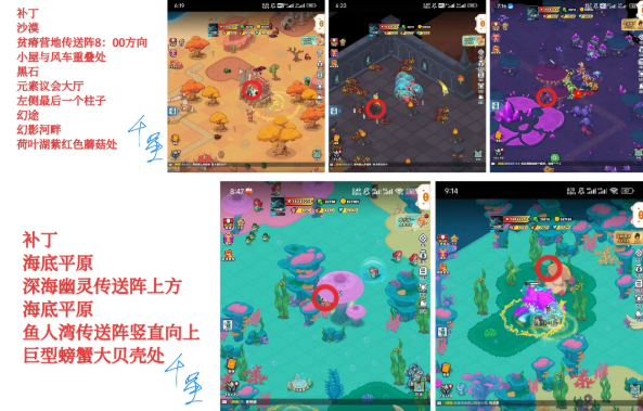 百炼英雄躲猫猫66只猫位置攻略大全