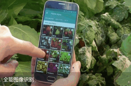 拍照识物免费软件