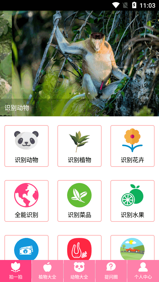 拍照识物ios2025版