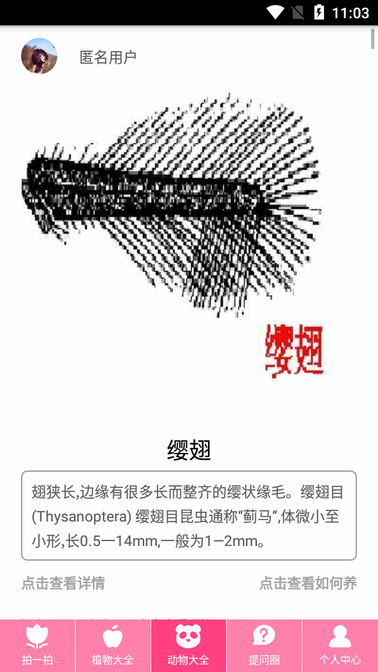 拍照识物ios2025版