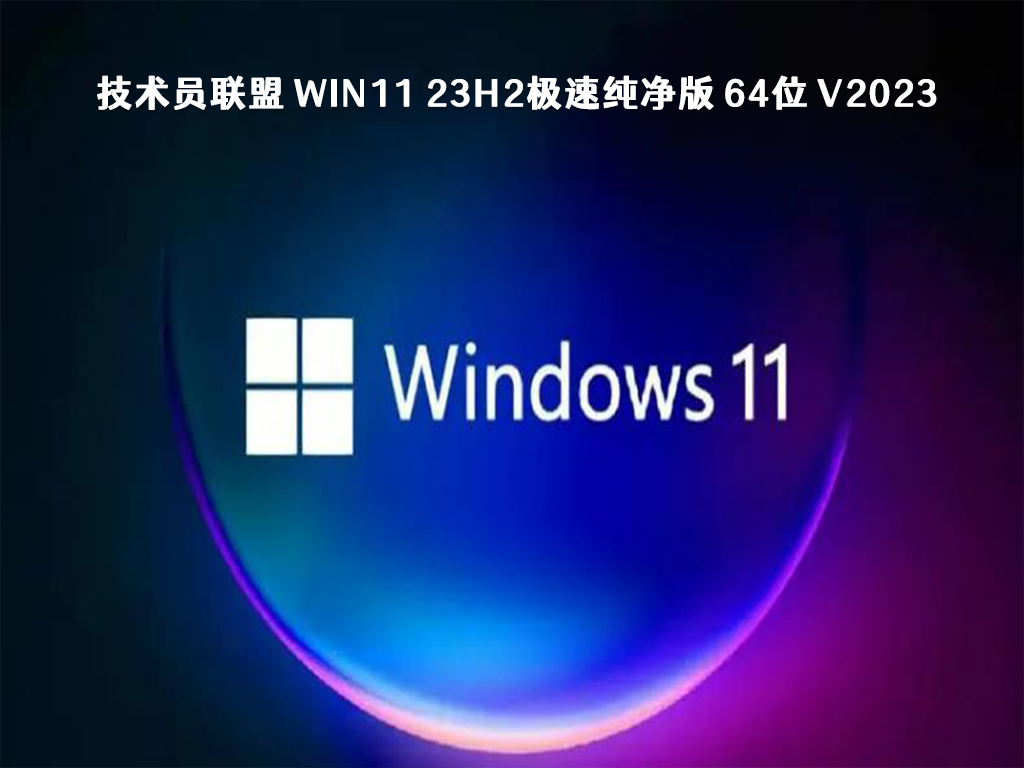 技术员联盟 Win11 23H2极速纯净版 64位中文正式版_技术员联盟 Win11 23H2极速纯净版 64位专业版