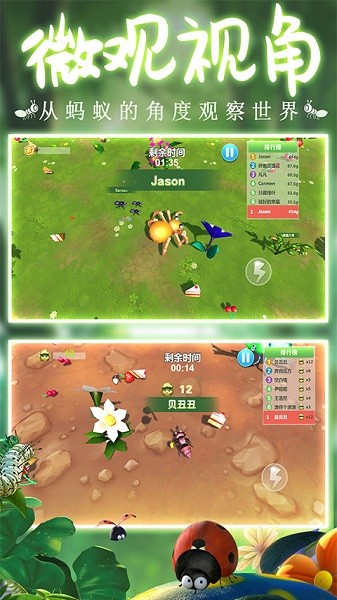 蚂蚁行军团最新版app下载安装