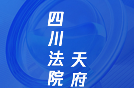 天府智诉人民法院官网版