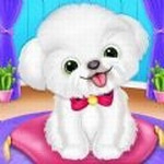 宠物狗狗养成日记免费安卓版