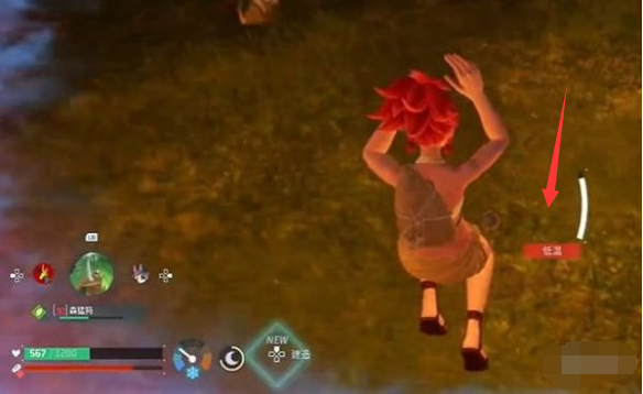 幻兽帕鲁御寒装备展示