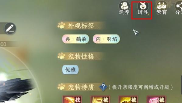 宠物等级提升示意图