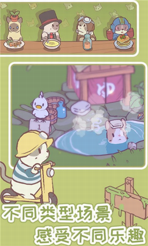 猫汤物语2025永久免费内购最新免费版