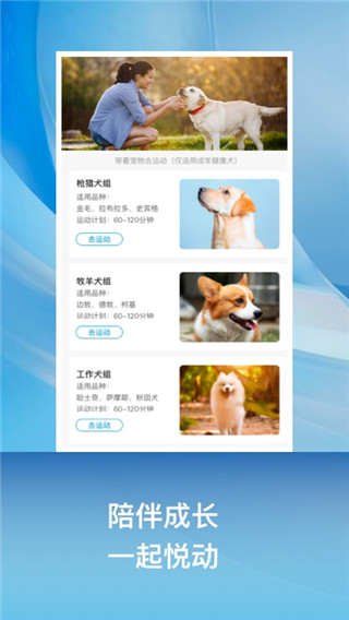 小兔乐跑免费版安卓