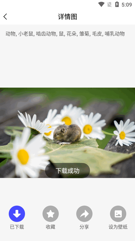 图片素材之家手机2025版