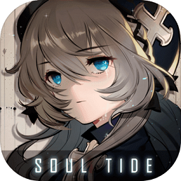 灵魂潮汐游戏安卓版最新