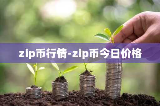 ZIP币总量是多少