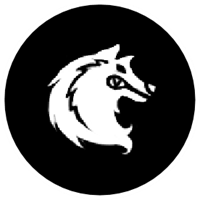 胜利女神新的希望小红帽技能解析