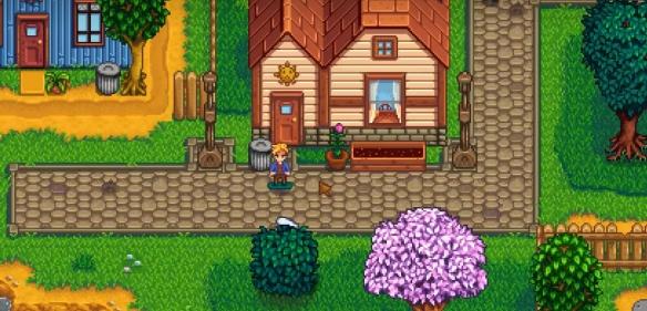 星露谷物语山姆滑板剧情攻略