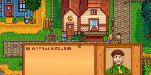 星露谷物语山姆滑板剧情攻略