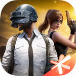 和平精英花语直装最新版手游