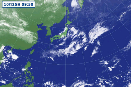 追风盒子自制版