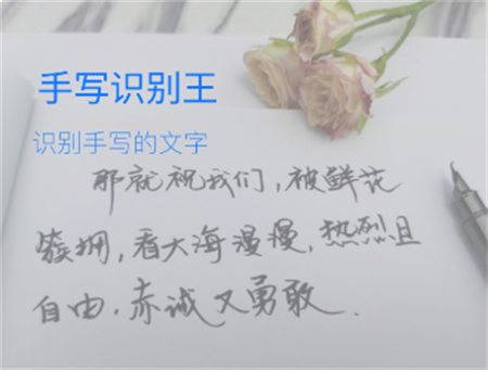 手写识别王app最新版下载