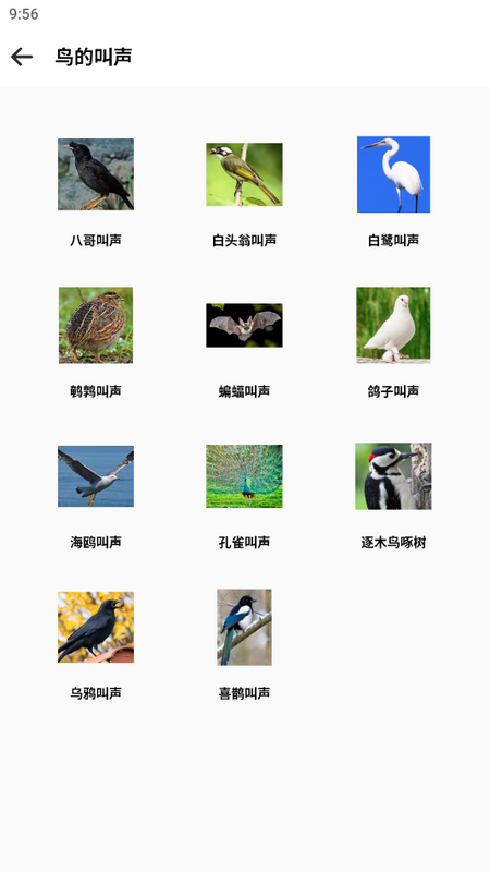 声音频率器苹果版2025下载