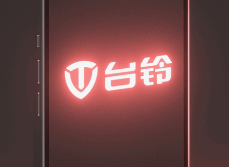 台铃智远版电动车